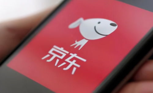 京東關(guān)聯(lián)企業(yè)布局?jǐn)?shù)字科技新領(lǐng)域，動(dòng)漫動(dòng)畫設(shè)計(jì)及數(shù)據(jù)處理成新增長點(diǎn)